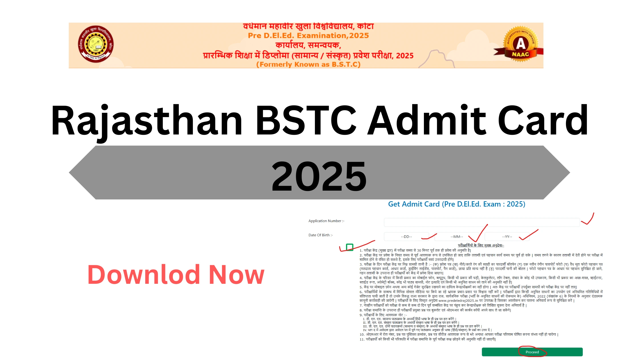 Rajasthan BSTC Admit Card 2025